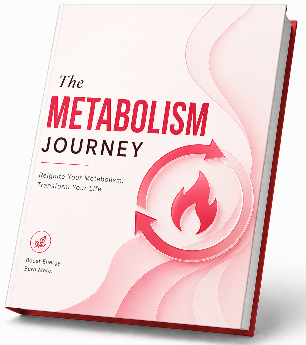 JellyThin buy now Metabolism Journey Guide bonus free